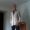 Avatar de Donal_Fg82